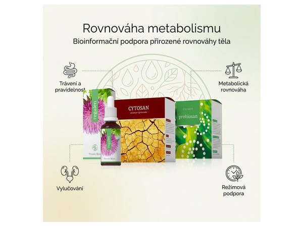 Rovnováha metabolismu 2